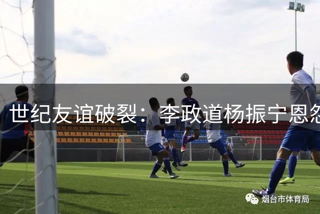世纪友谊破裂：李政道杨振宁恩怨的深层启示