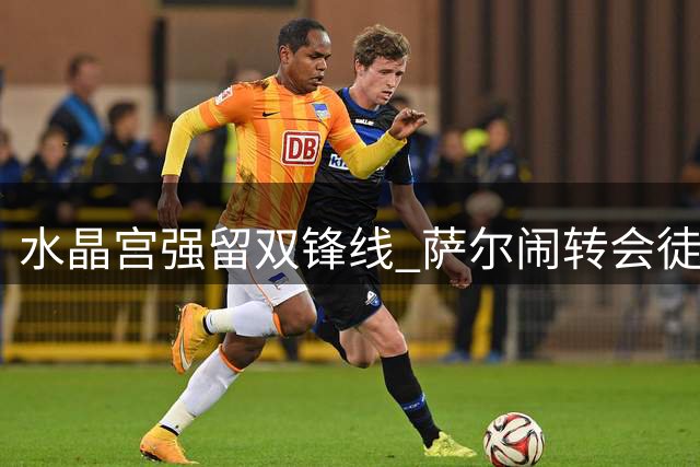 水晶宫强留双锋线 萨尔闹转会徒劳无功
